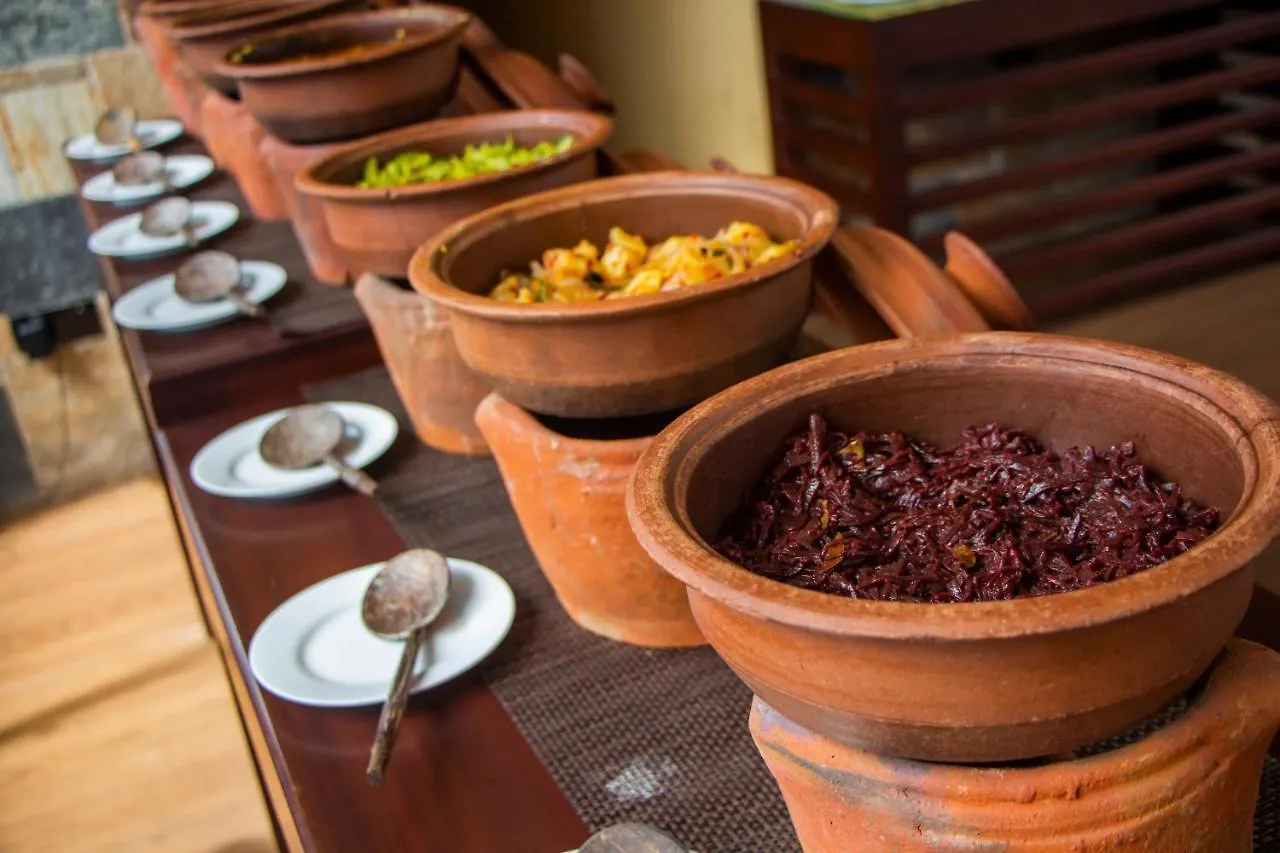 Jasmin Villa Ayurveda Resort Negombo Sri Lanka