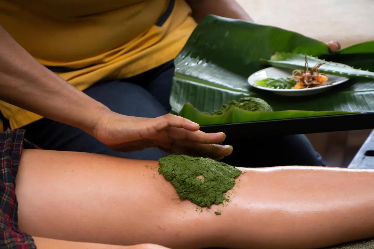 Jasmin Villa Ayurveda Resort Негомбо